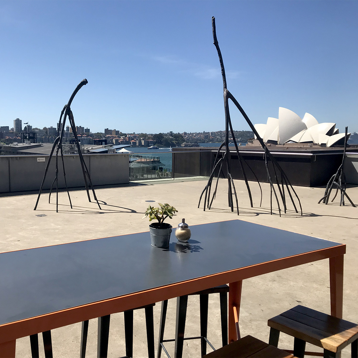 Photos of Vietnam and Australia, 2020